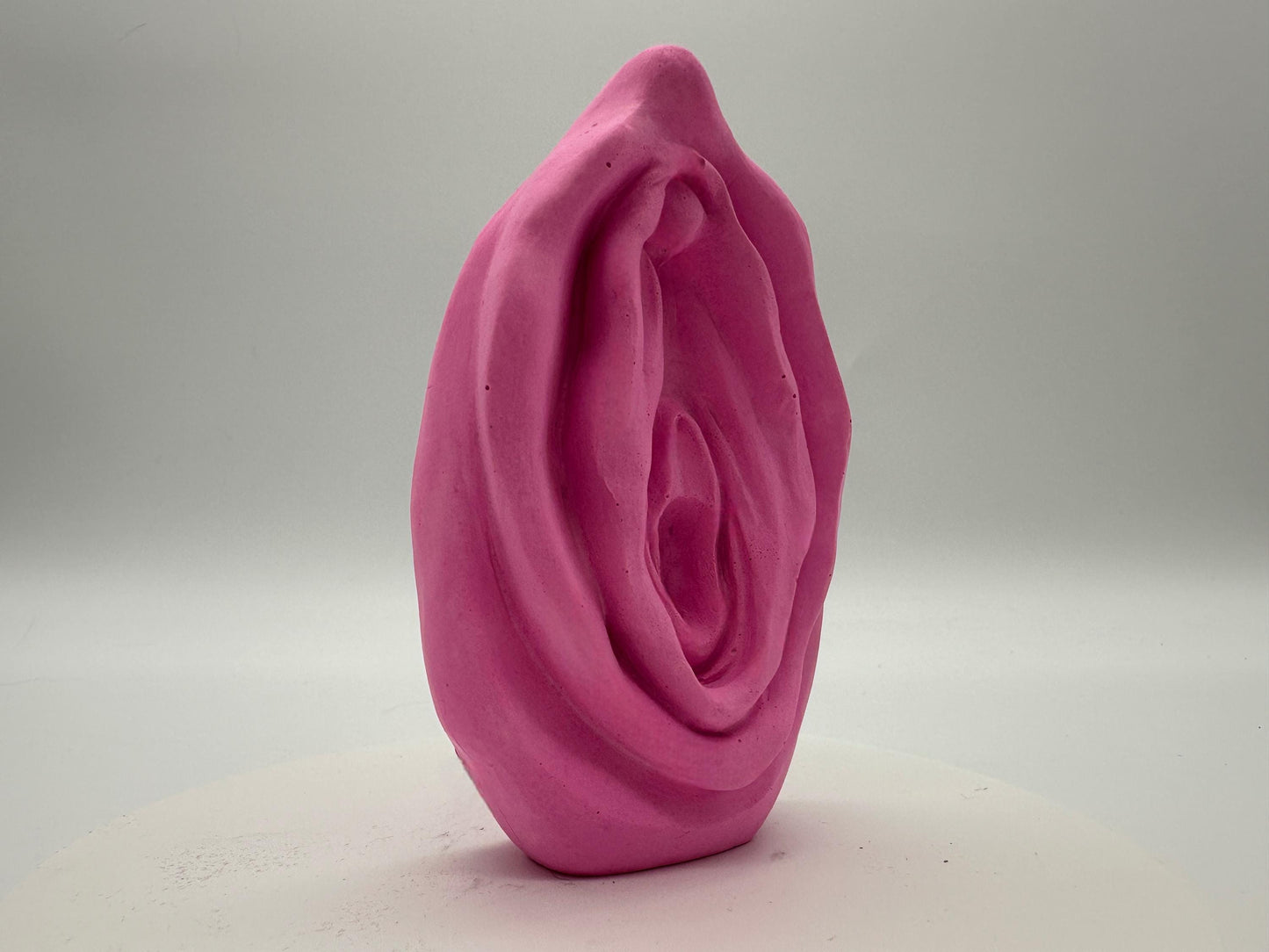 VENUS FORM | Candy Pink
