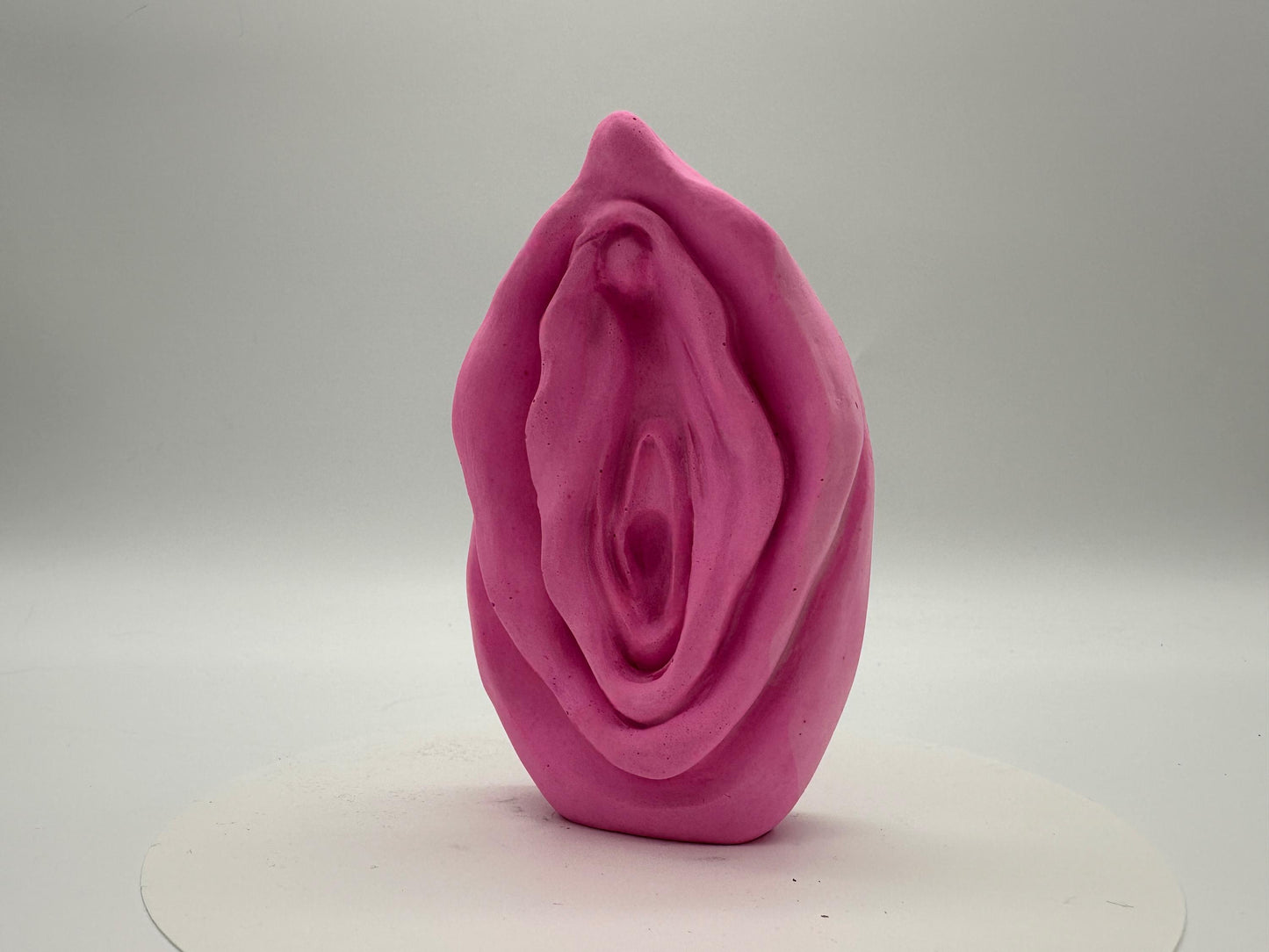 VENUS FORM | Candy Pink