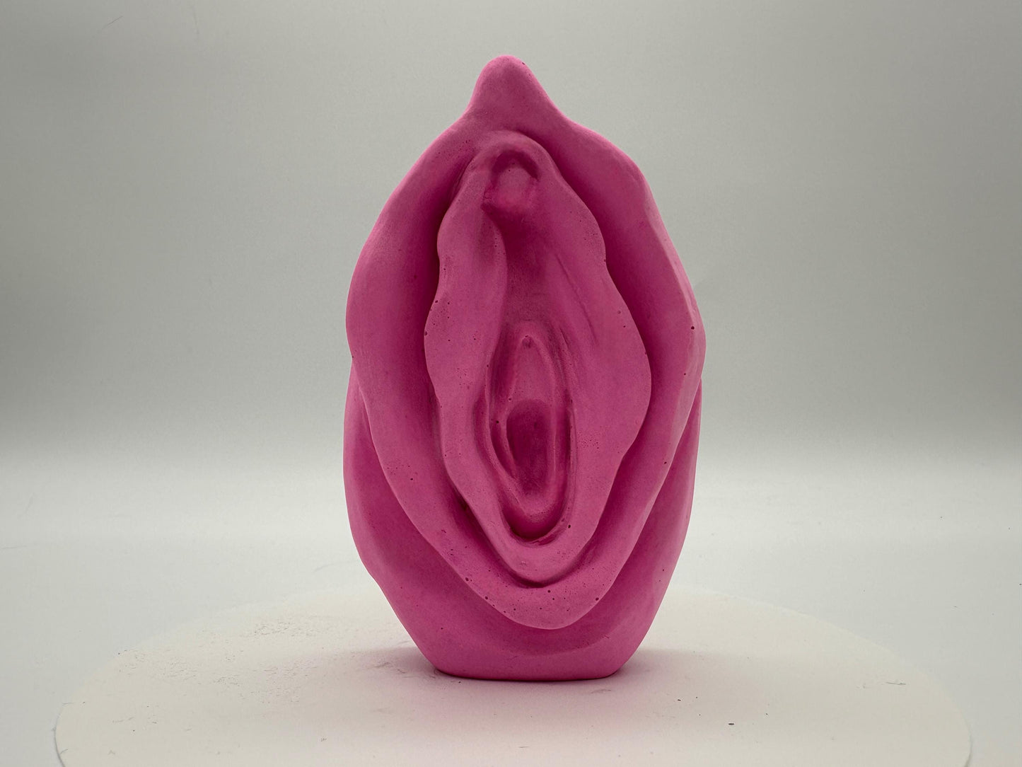 VENUS FORM | Candy Pink