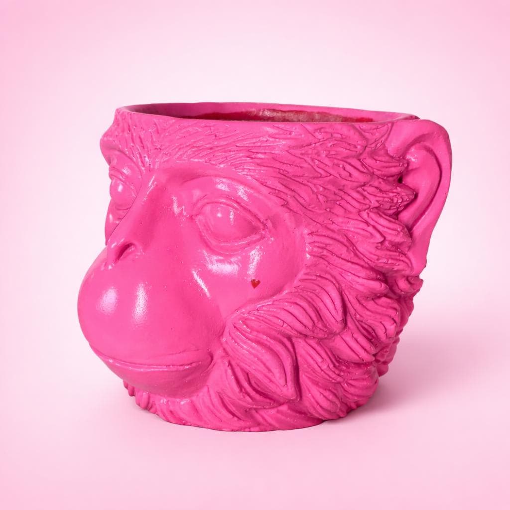LOVE MONKEY | Candy Pink