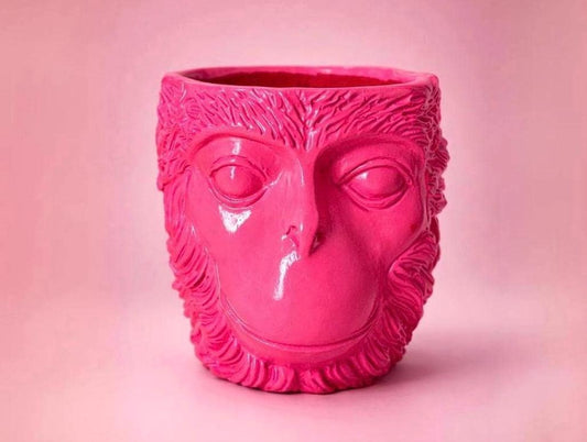 LOVE MONKEY | Candy Pink
