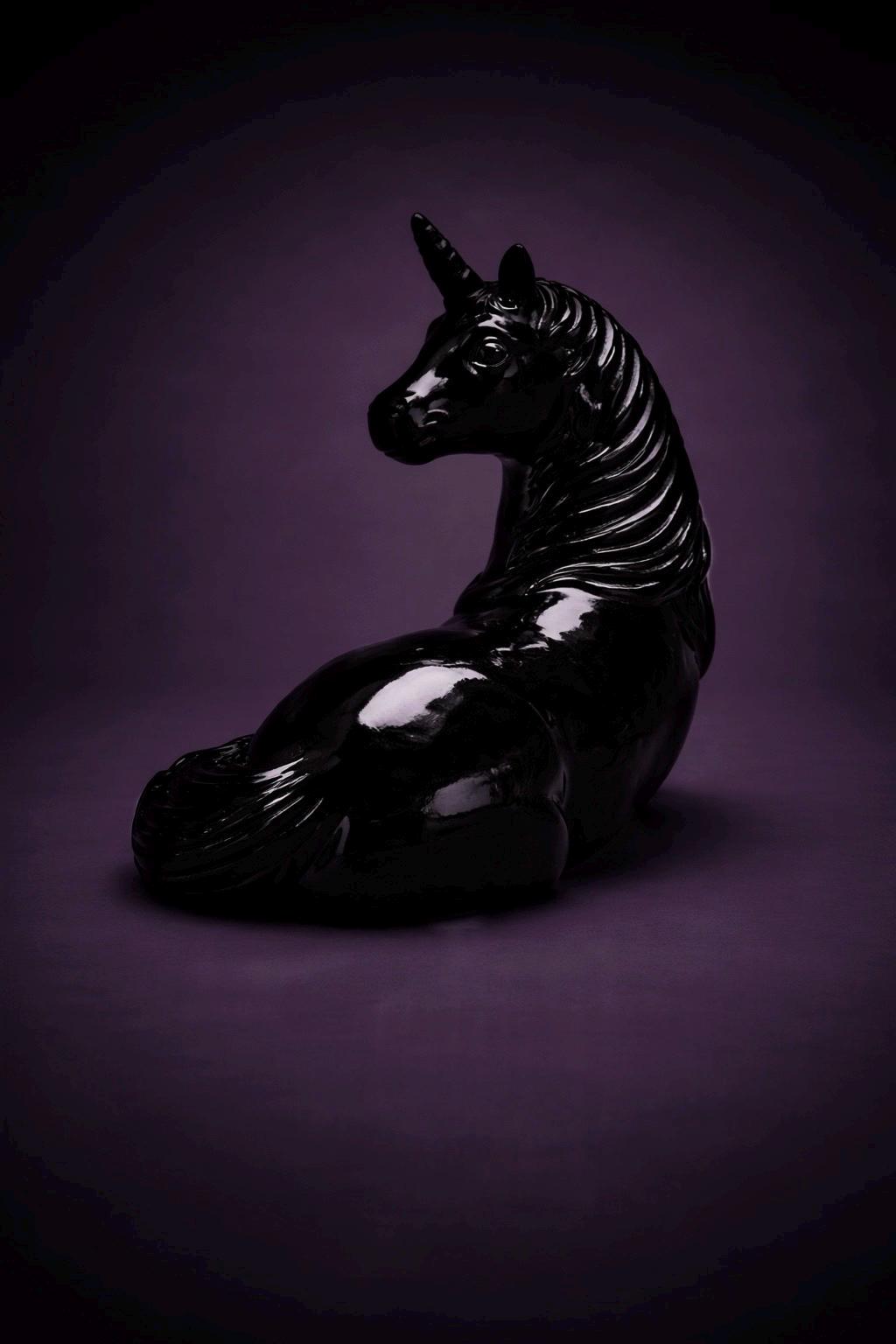 MIDNIGHT UNICORN | Gloss Black