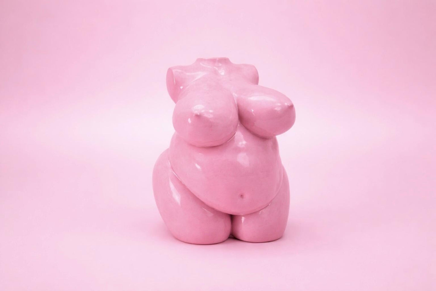 BODY OBJECT | Curved Form | Velvet Pink